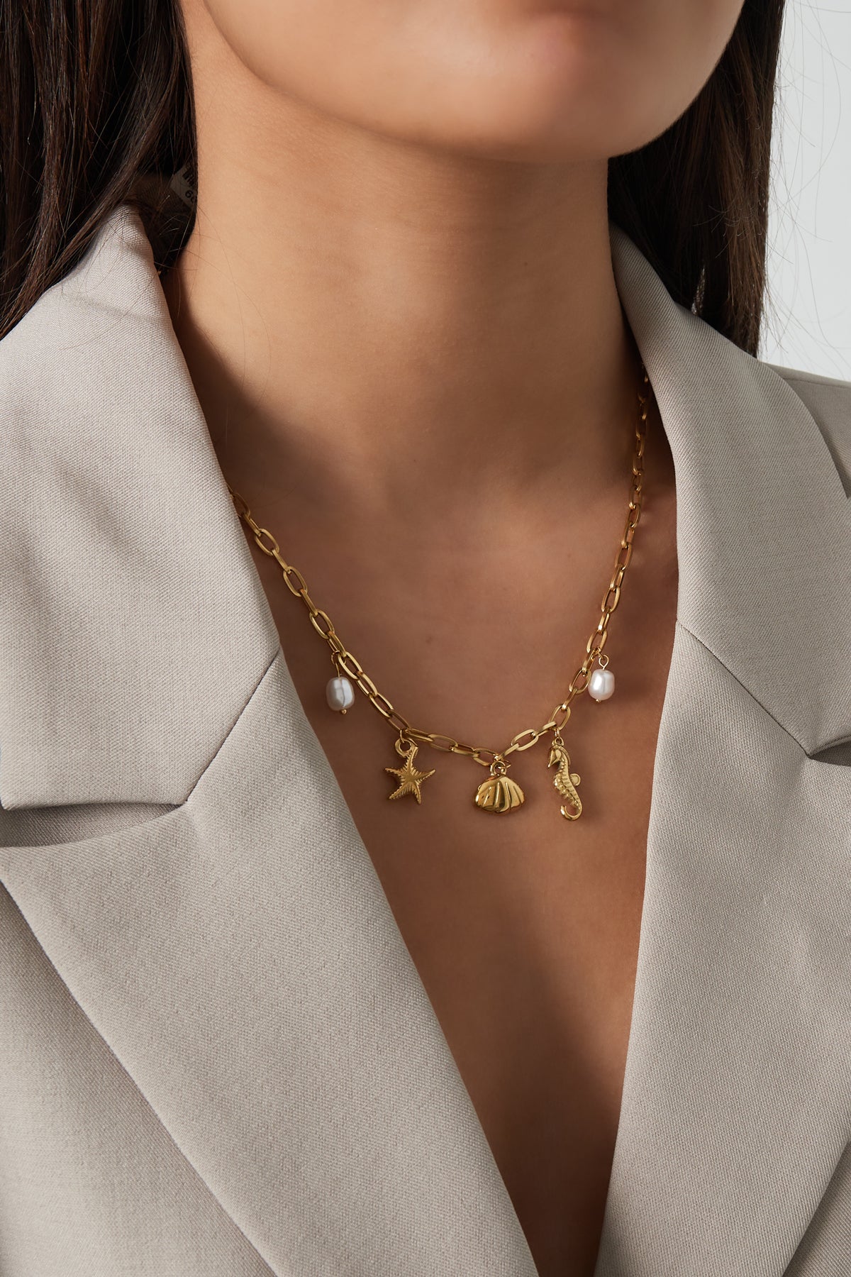 ketting zeepaardje