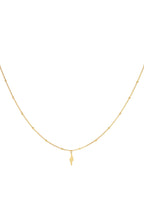 Ketting bliksemschicht Goud kleur Stainless Steel