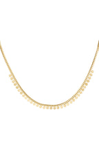 Ketting muntjes - Zilver Stainless Steel