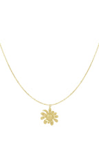 happy daisy ketting