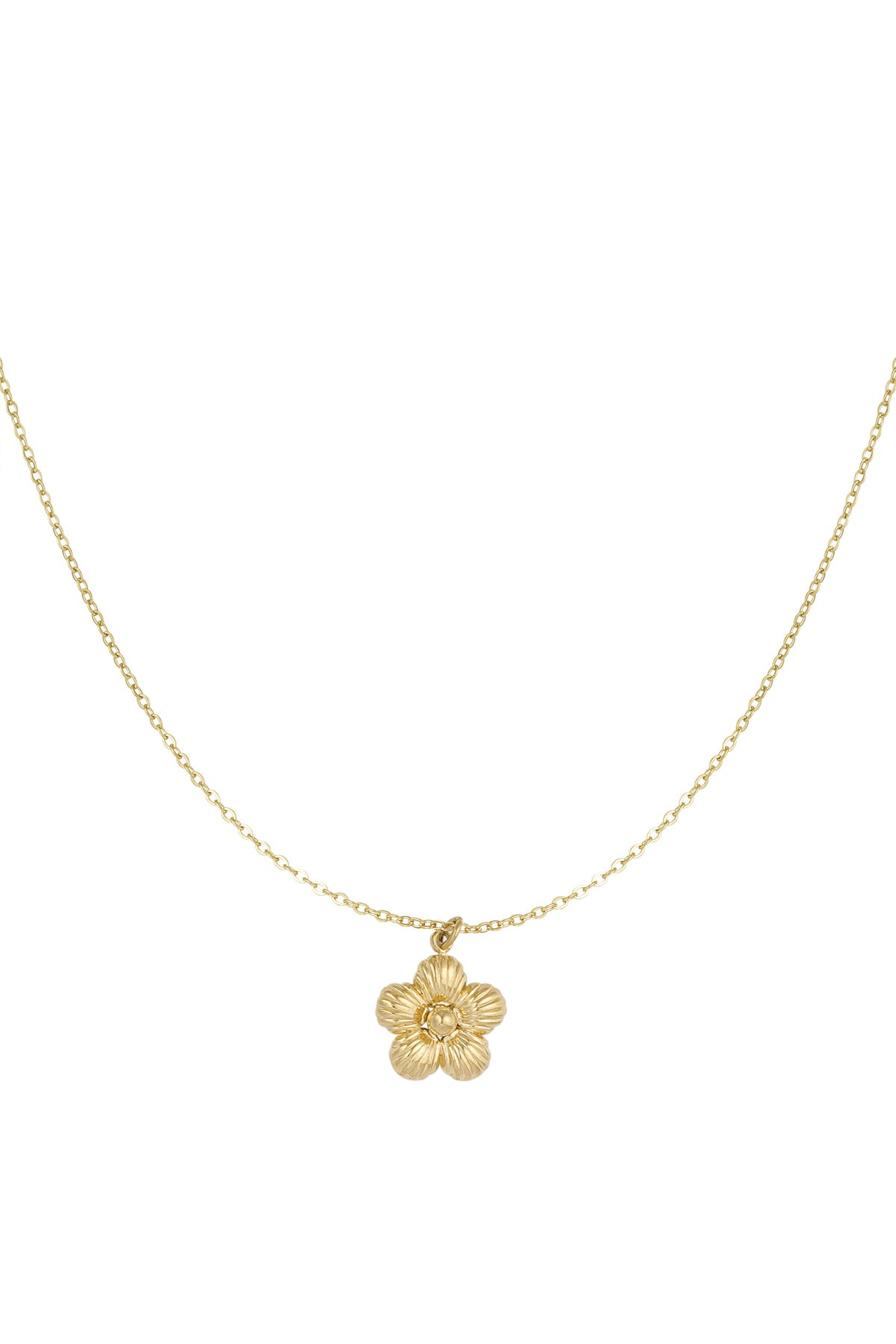 daisy ketting