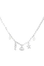 ketting zeepaardje