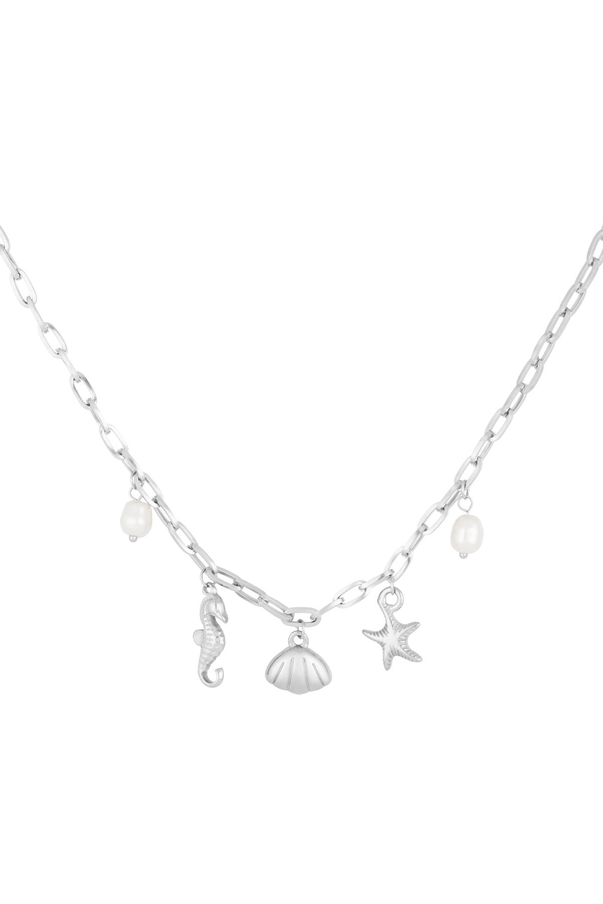ketting zeepaardje