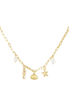 ketting zeepaardje