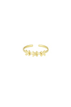 xxx amsterdam ring