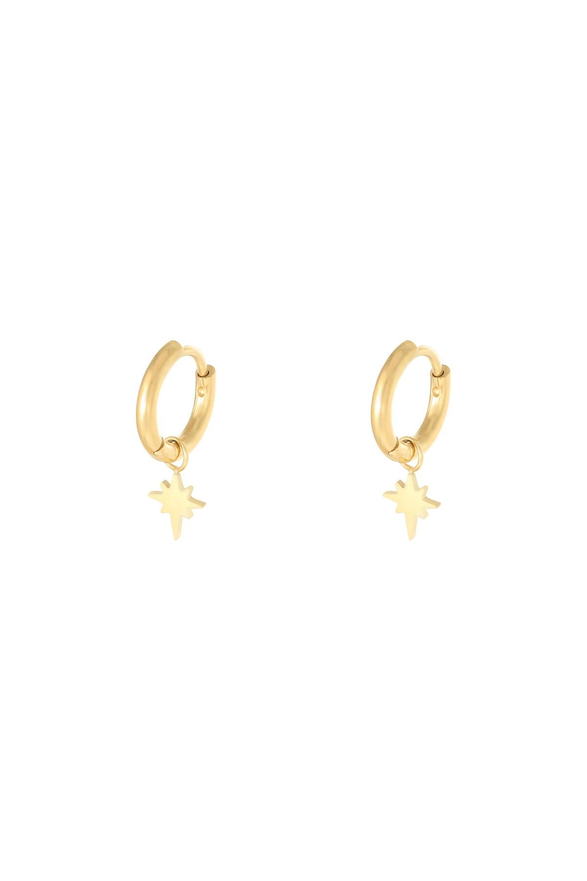 Oorbellen Spark Goud kleur Stainless Steel