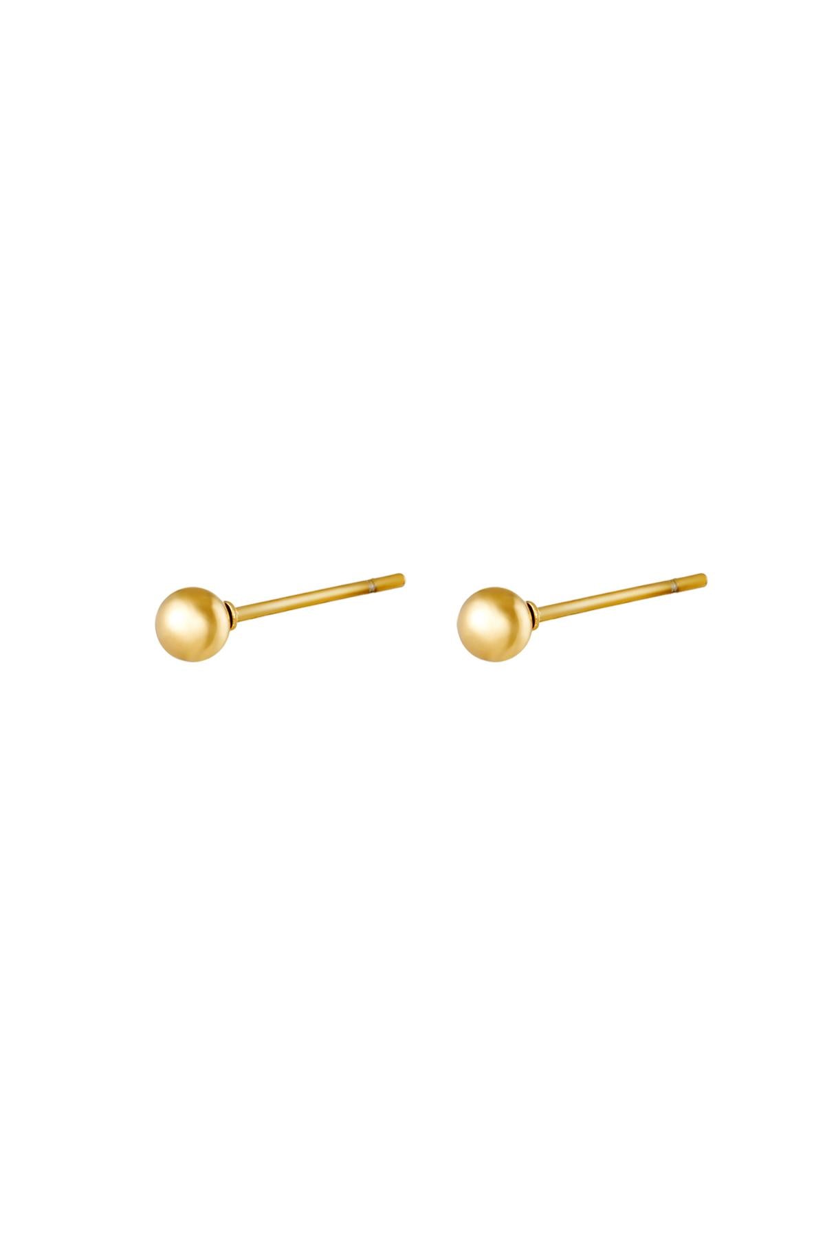 Oorbellen Midi Dot Zilver Stainless Steel