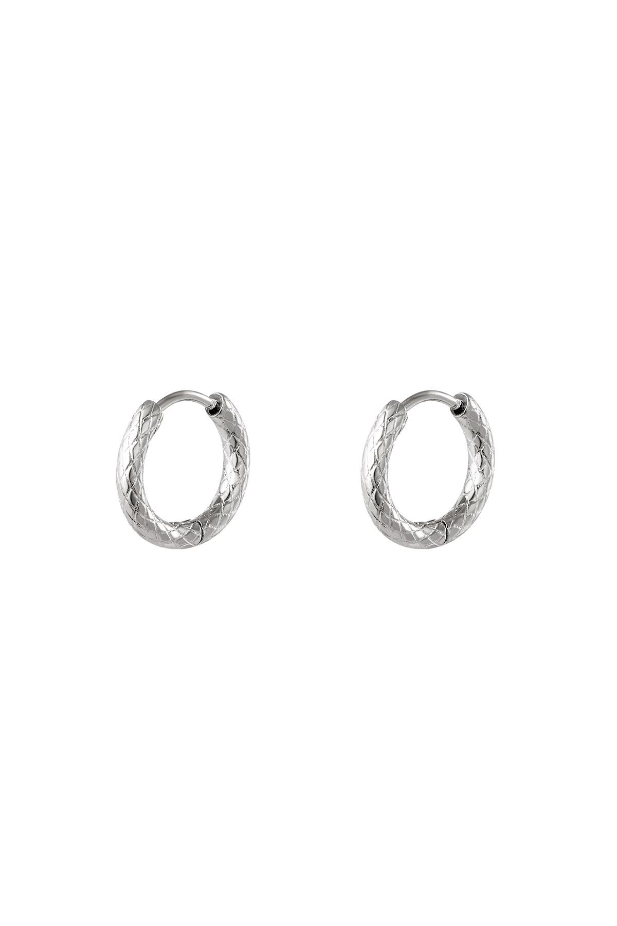 Oorringen van roestvrij staal Goud kleur Stainless Steel