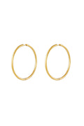 RVS oorbellen hoops medium Goud kleur Stainless Steel