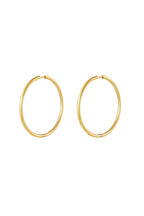 RVS oorbellen hoops medium Goud kleur Stainless Steel