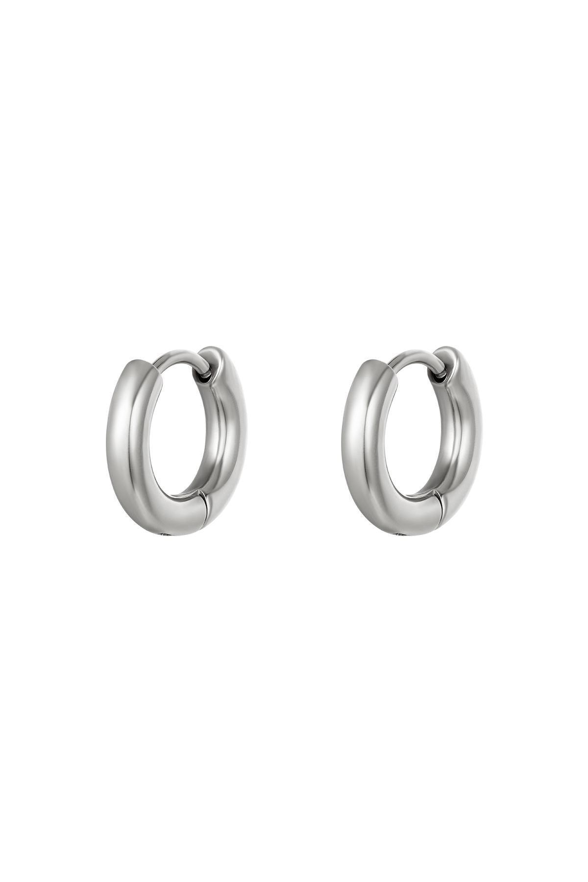 Basic creolen oorbellen - mini Stainless Steel