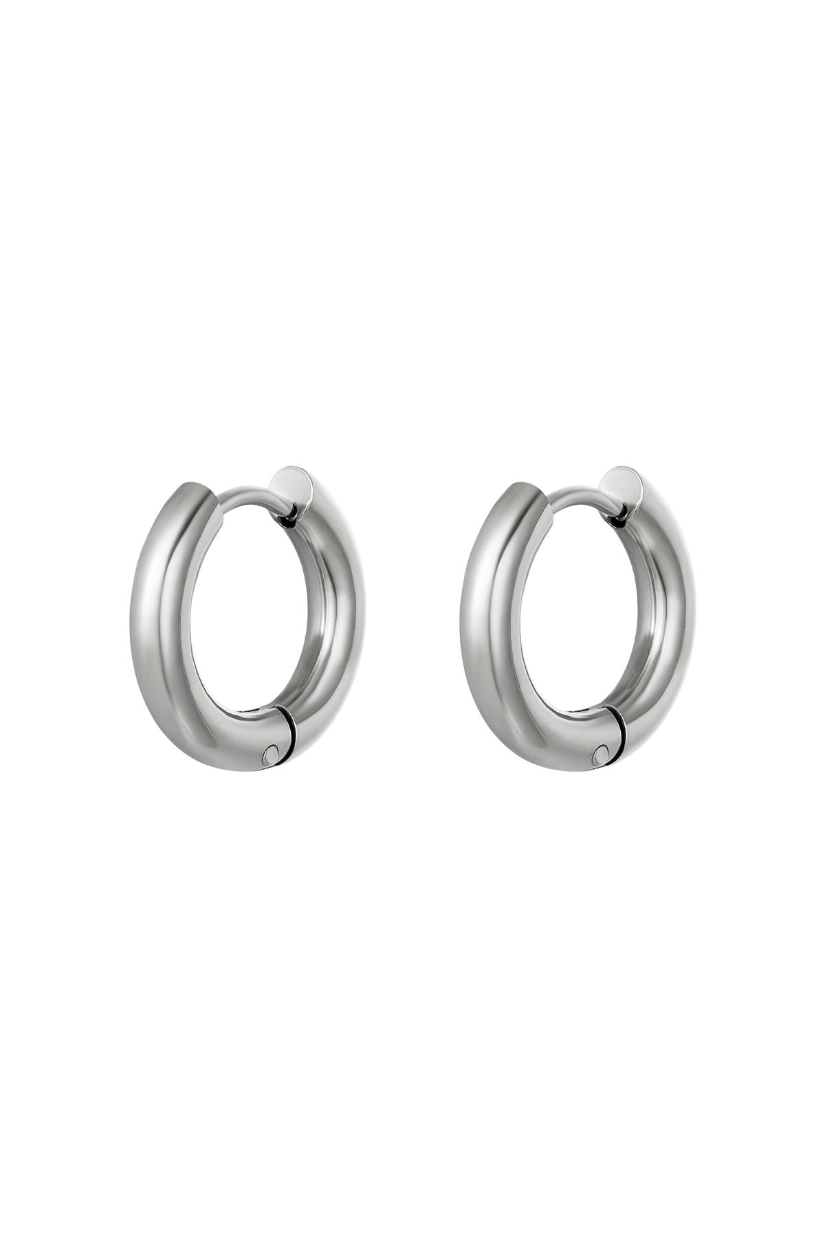 Basic creolen oorbellen - klein Goud kleur Stainless Steel