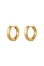 Basic creolen oorbellen - klein Goud kleur Stainless Steel