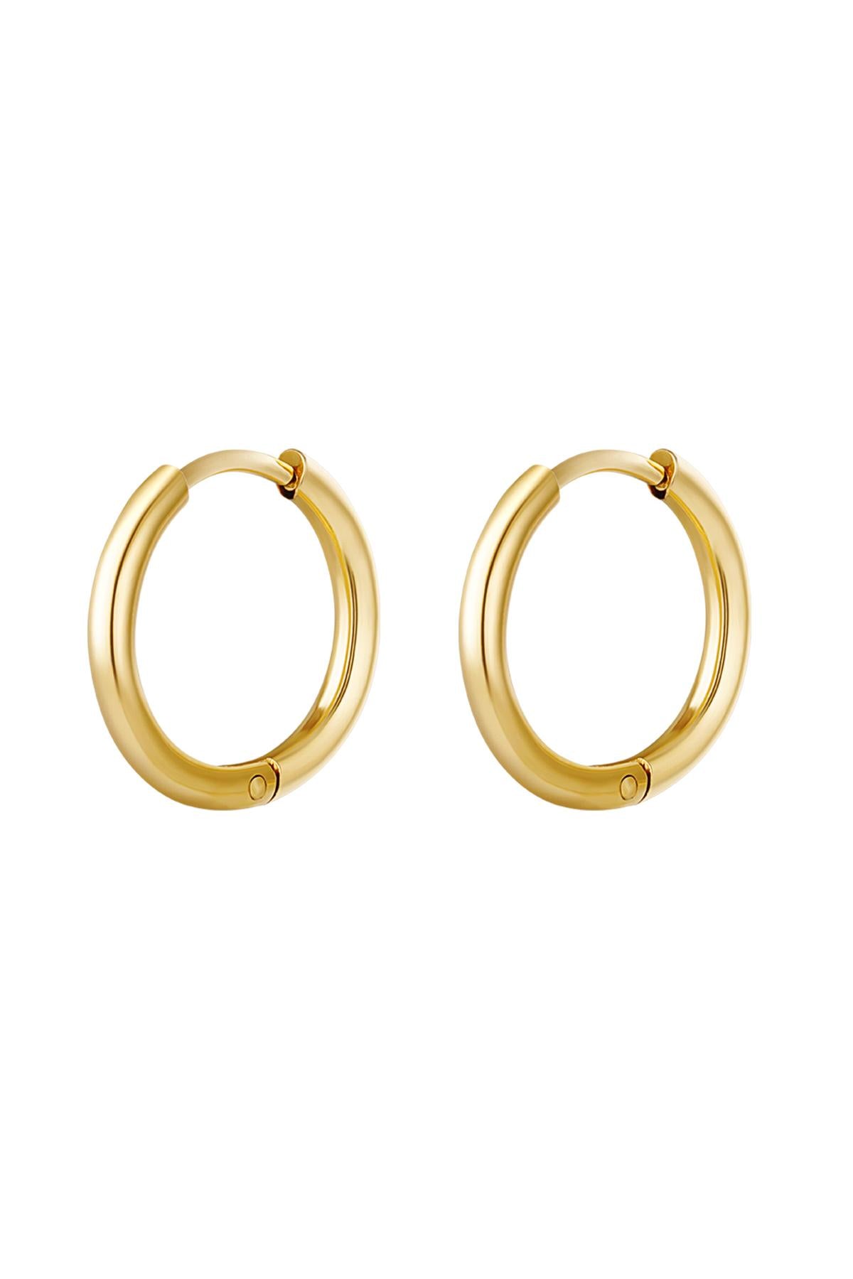 Creolen simpel M Goud kleur Stainless Steel