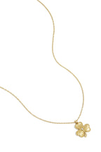 lucky charm ketting